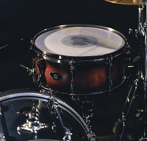 signed-drum-skin